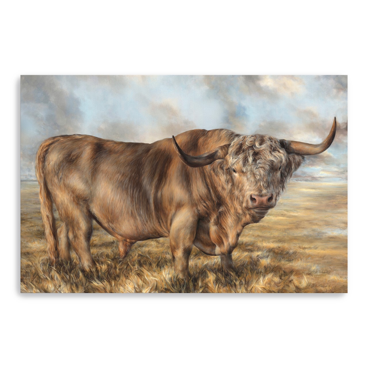 Lumaprints Highland Brown Bull Canvas Giclée Art